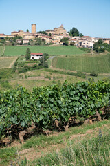 Landscape with vineyards near beaujolais wine making village Val d'Oingt, gateway to Beaujolais...