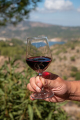 Tasting of red wine on vineyards of Cyprus. Wine production on Cyprus, tourists wine route.