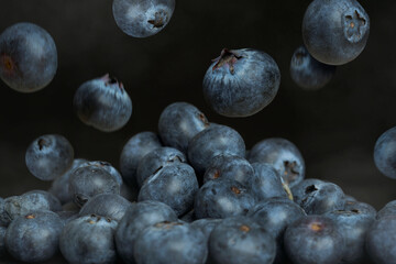 Close up of blueberries on a black background. The fuits fall from above in a group.