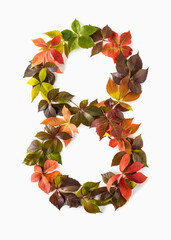 Number eight made of colourful autumn leaves, isolated on white background.