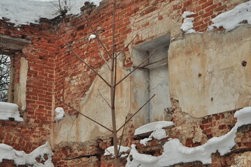 Moscow, Moscow region, Moscow city, russia, russian federation, building, house, architecture, old, window, wall, abandoned, city, town, construction, ruin, brick, europe, home, facade, ancient, urban