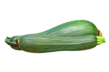 Fresh zucchini vegetable isolated on transparent.