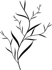 Fototapeta premium branch with leaves