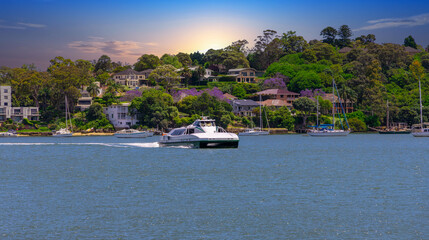 Obraz na płótnie Canvas River Cat Ferry on Sydney Harbour Parramatta River NSW Australia. Residential apartments and houses along the river foreshore 