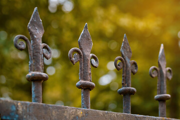 Cast iron spiked fence. Iron fence with green leaves background. Wrought iron fence painted in...