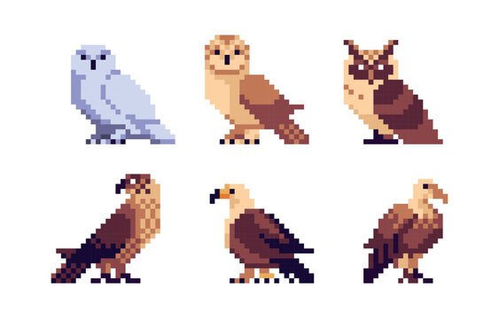 Birds of prey pixel art set. Vulture, owl, hawk collection. Carnivore species. 8 bit. Game development, mobile app.  Isolated vector illustration.