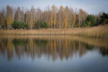 Fototapeta na wymiar A deserted lake in the birch forest in Ukraine. The smooth mirror surface of the water.