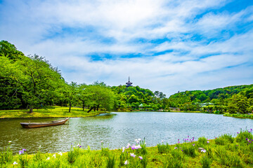 神奈川県　三渓園の風景
