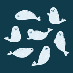 Vector illustration of cute seals - 544888887