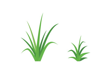 grass vector illustration design in flat style