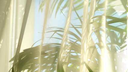 transparent curtain on the window, gently moved by the wind. sunlight. sun's rays shine through the transparent tulle