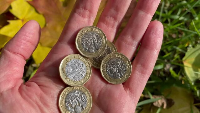 British pounds sterling coins on a woman's palm. One pound metal coins on a female hand against autumnal background. Money earning, savings concept. British pounds under the sunlight. Money begging