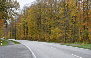 Straße im Herbst 