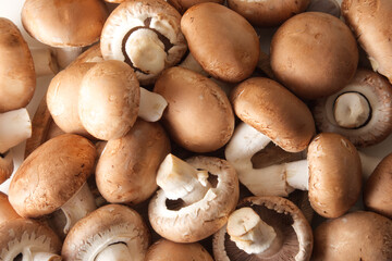 Brown cap champignons in different shapes and sizes close-up top view