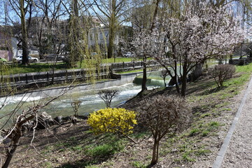 Stormy river in the city after spring rains