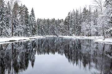 River in winter. Farnebofjarden national park in north of Sweden
