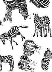 Graphical vertical pattern with  zebra , stylish cover for for fabric, postcards, wallpapers,graphical vector illustration