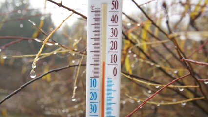 thermometer on the background of a wet plant - obrazy, fototapety, plakaty