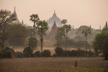 Paysage de Birmanie Mianmar avec des temples en fond et homme qui marche