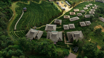 Obraz na płótnie Canvas Aerial view resort in green tea plantation on the hill at Ban Rak Thai village, chinese style hotel and resort, famous tourist attractions is another landmark of Mae Hong Son, Province Thailand