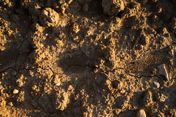 Terre sèche qui craque 