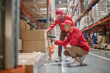 Experienced warehouse personnel involved in cargo handling