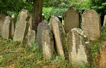 Jewish cemetery with graves and tombstones, old tombstone with snails, Pacov, Czech Republic