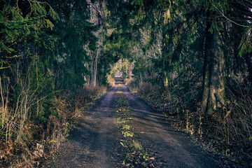 A gravel road in the landscape of rural Toten, Norway, a day in November. 