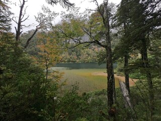Fototapeta na wymiar Beautiful lake in the forest