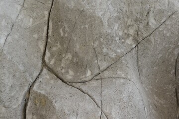 Abstract gray concrete cement wall background texture