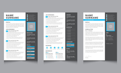 Elegant Resume Set  with Cover Letter cv design vector  business layout job applications