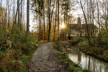 Fog over forest path with leaf covered ground near stream