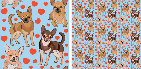 Seamless Chihuahua dog pattern, holiday texture. Packaging, textile, decoration, wrapping paper. Trendy hand-drawn funny breed wallpaper. Fun seamless Chihuahua square pattern with hearts.