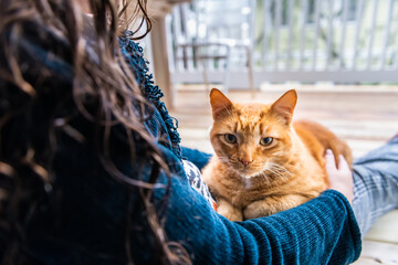 Woman sitting on floor holding lap cat in arms caressing petting stroking orange ginger kitty...