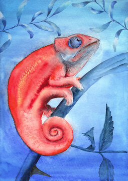 Watercolor illustration of a bright red chameleon sitting on a branch with leaves on a blue background