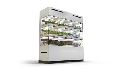 Indoore vertical farm for cultivation. Hydroponics system. 3d illustration isolated on white background