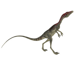 Fototapeta premium Compsognathus dinosaur walking - 3D render