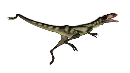 Dilong dinosaur jumping - 3D render
