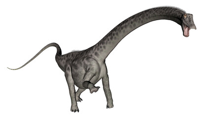 Diplodocus dinosaur head up - 3D render - obrazy, fototapety, plakaty