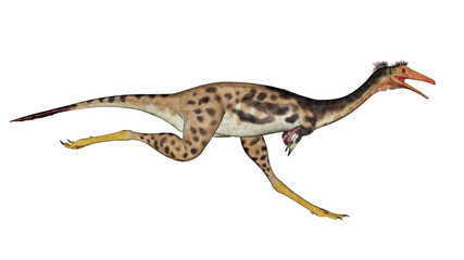 Fototapeta premium Mononykus dinosaur running - 3D render
