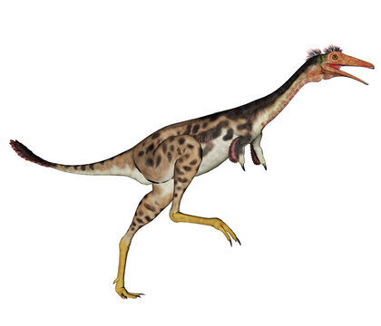 Mononykus dinosaur walking - 3D render