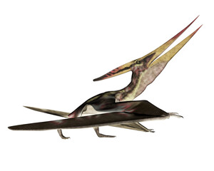 Pteranodon walking - 3D render © Elenarts