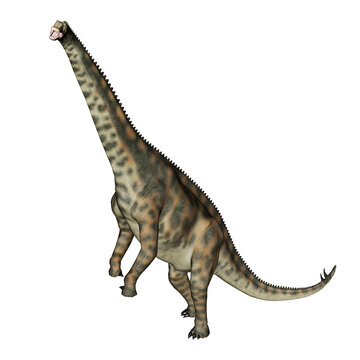 Spinophorosaurus dinosaur standing up - 3D render