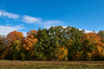 Obraz premium Herbst in der Oberlausitz 
