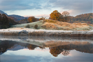 Perfect reflections on River Brathay on a frosty morning.  Landscape Photo.  Beautiful warm light contrasted with the cold landscape. 