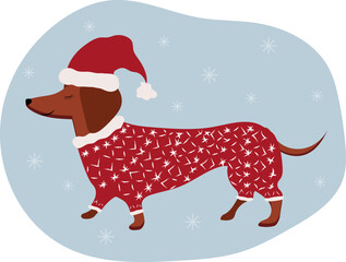 Dog dressed as Santa. Dachshund. Christmas card. High quality vector illustration.