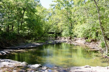 Obraz premium The quiet creek in the forest on a sunny day.
