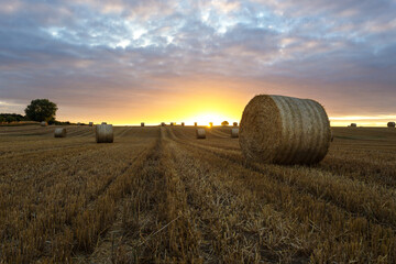 Sunset over a field of crops. Hay Bails. Agriculture, wheat, barley. Farming, Harvest. Rural