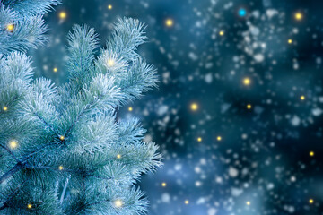 Closeup of Christmas tree background. Pine branches and Christmas lights