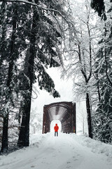 Person wearing orange coat in the snow, standing in front of a bridge. Bright Colored clothing, high contrast against snow